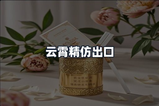 云霄精仿出口